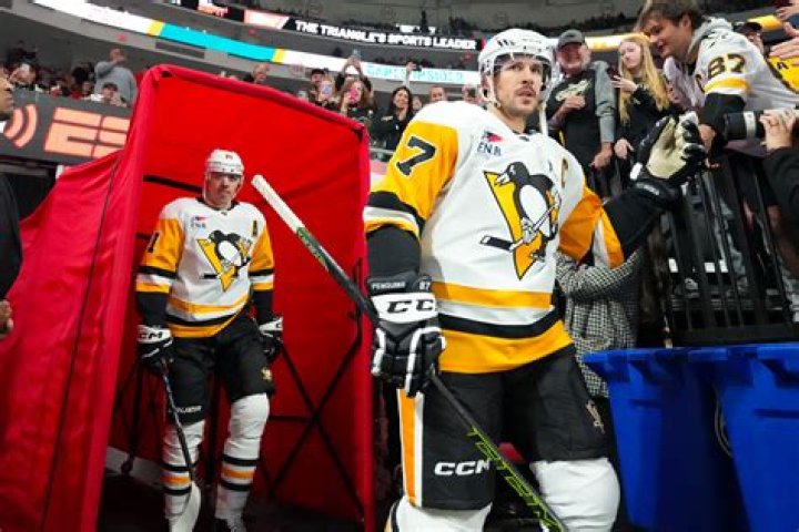 Do NHL players pay for their own travel?