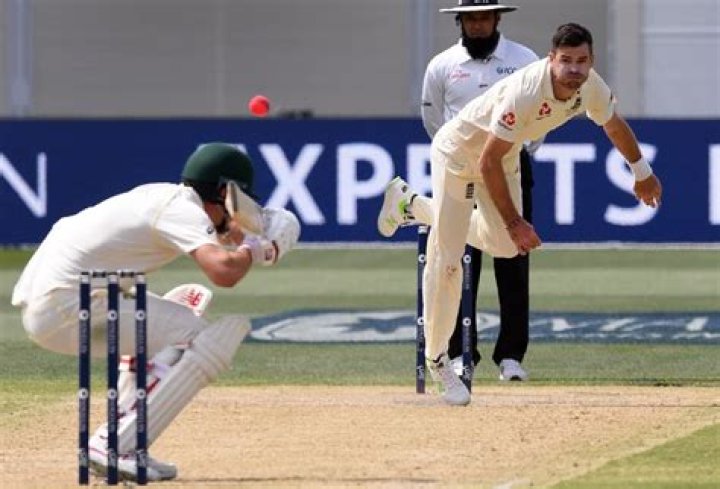 Who is the king of bouncer in cricket?