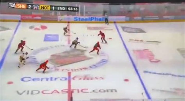 Who is the only player who can move the whole court in hockey?