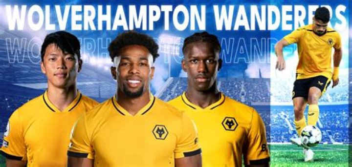 Who owns Wolverhampton FC?